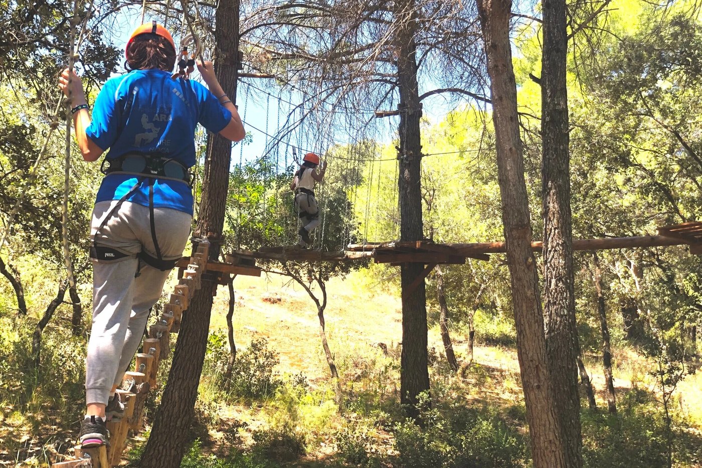 Estudiantes cruzando los puentes colgantes del circuito entre árboles