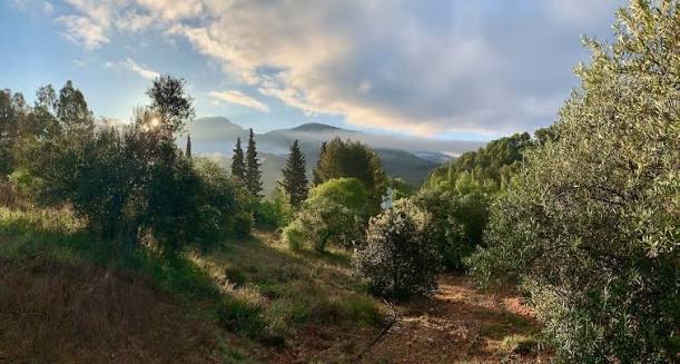 Amanecer sobre las sierras de Cazorla desde el entorno de la casa forestal